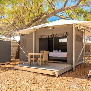 Standard Tent